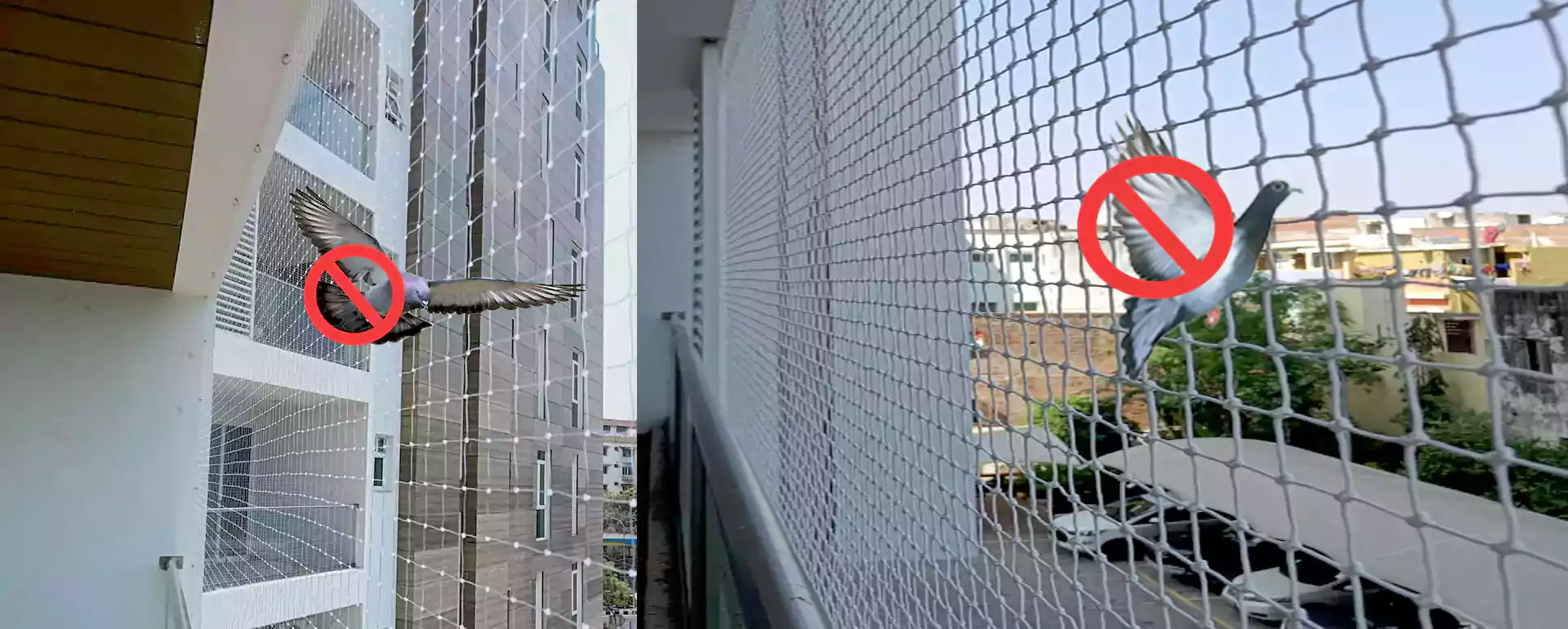 Pigeon and Bird Safety Nets for Bangalore - Call Us +91 9059057813